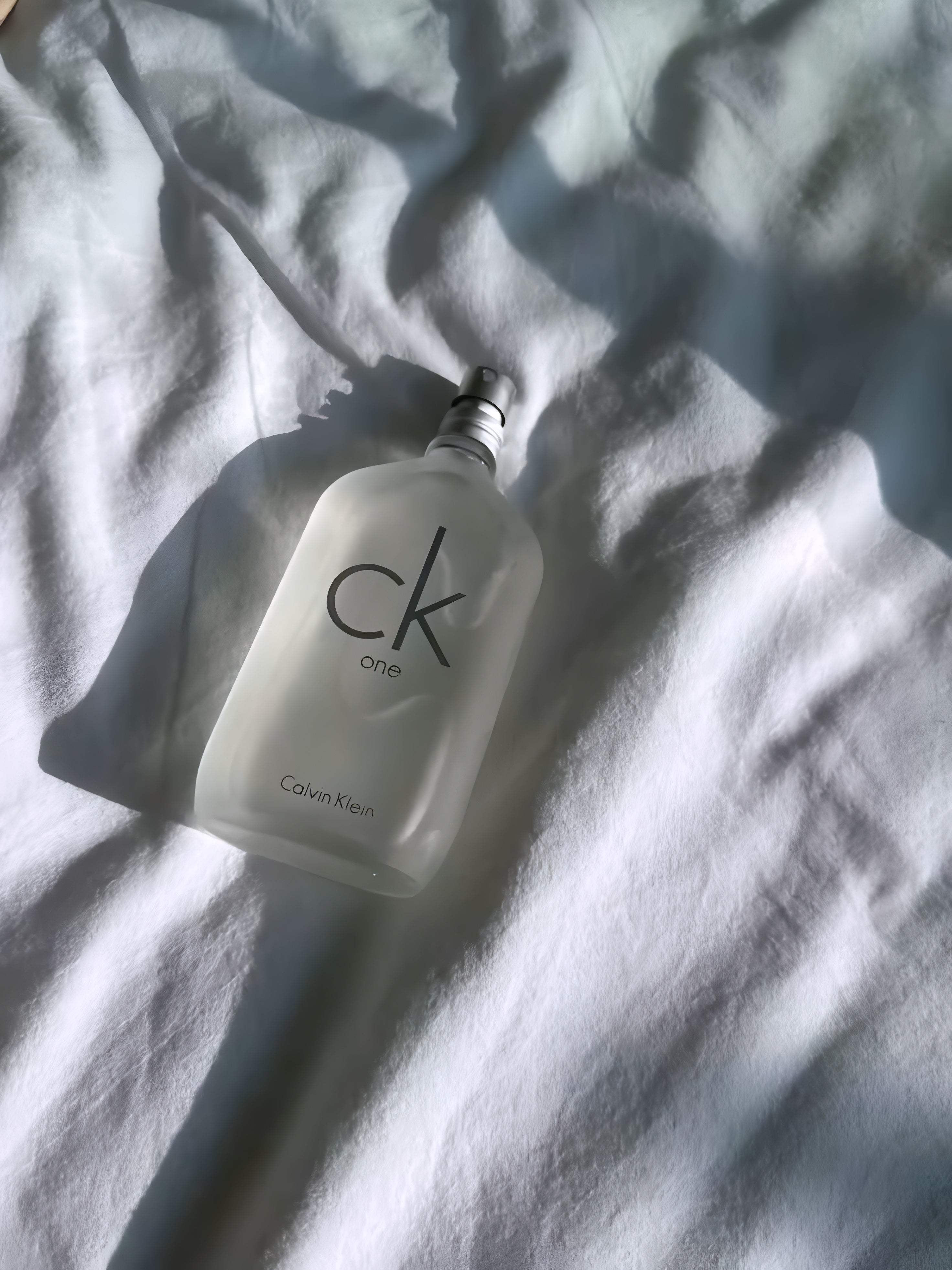 Calvin Klein CK One unisex Eau de Toilette (100ml)