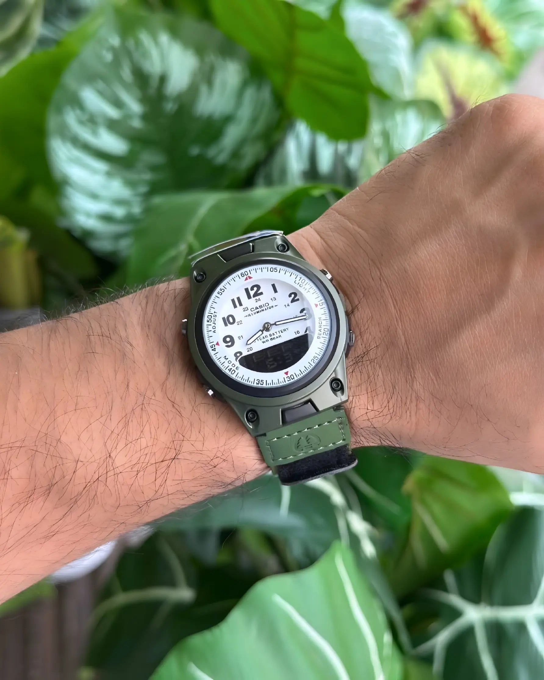 Casio AW-80V series watches