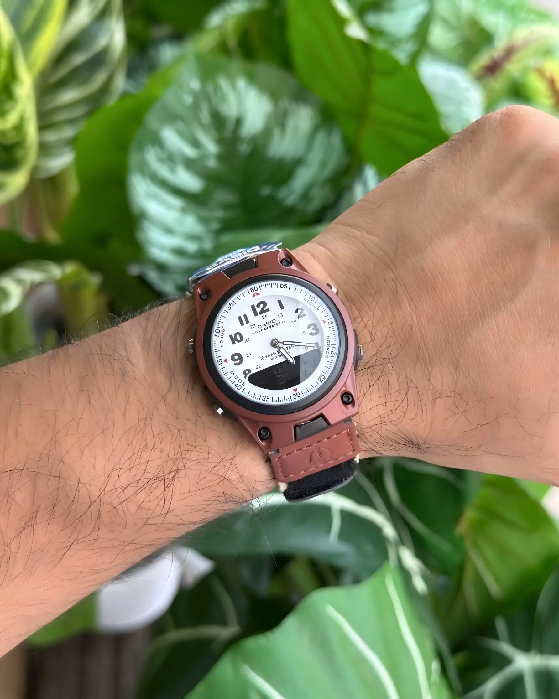 Casio AW-80V series watches